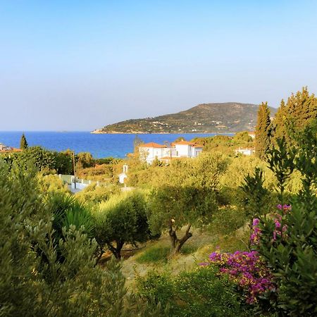 Kedros Hotel Samos Island Buitenkant foto