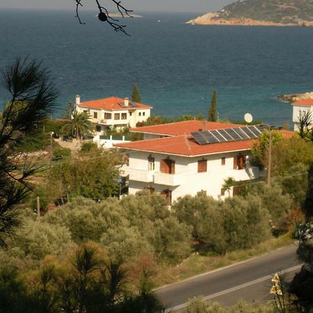 Kedros Hotel Samos Island Buitenkant foto
