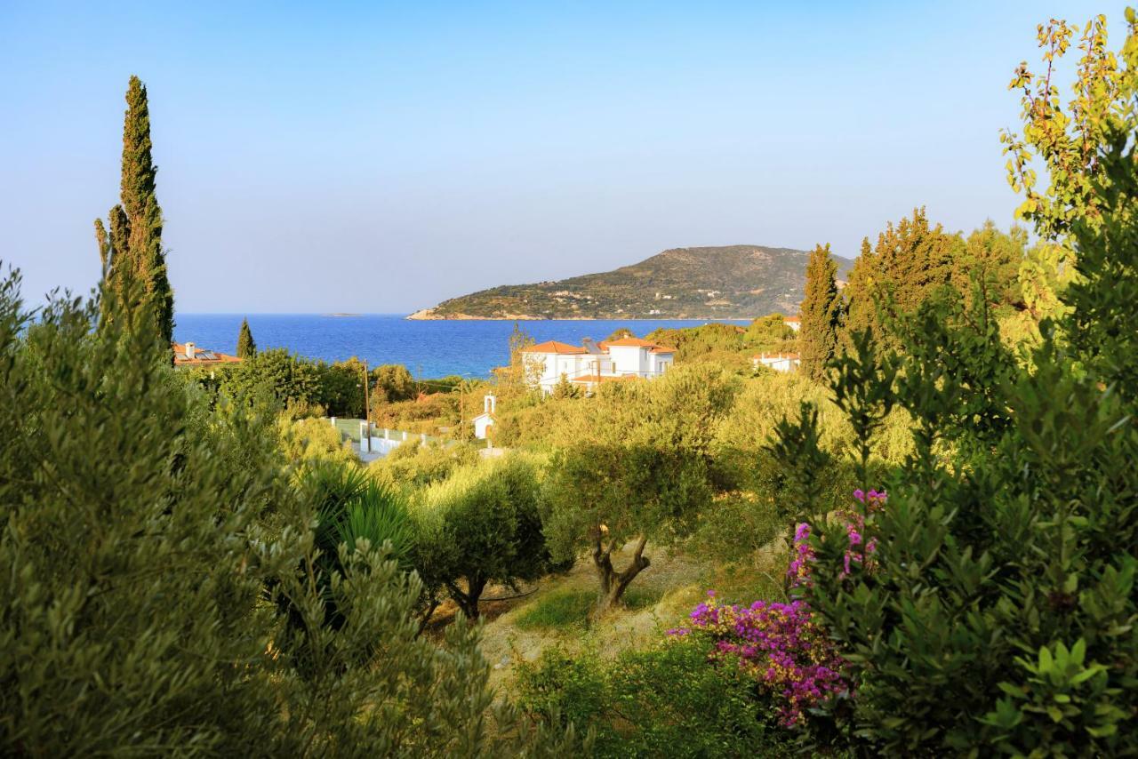 Kedros Hotel Samos Island Buitenkant foto